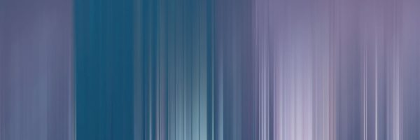 Máster-en-Economic-and-Business-Management-serces